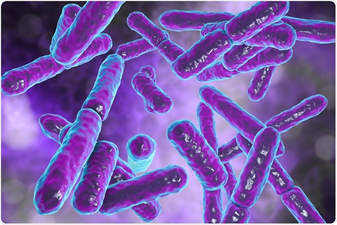 Bacteria Bifidobacterium, gram-positive anaerobic rod-shaped bacteria which are part of normal flora of human intestine . 3D illustration - Credit: Kateryna Kon / Shutterstock