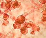 Candida auris – a dangerous drug resistant fungi on the rise