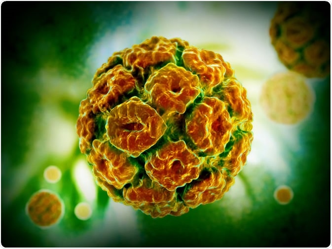 Human Papillomavirus 3D Illustration: Liya Graphics / Shutterstock