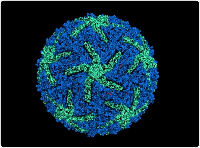 Zika virus structure, determined by cryo-EM