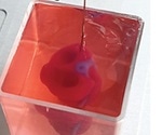Scientists create a functioning 3D printed heart