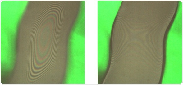 Interference patterns for the upper (left) and lower (right) interfaces of the coating