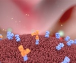 New diagnostic system can rapidly and sensitively measure antibodies against SARS-CoV-2