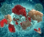 Two new antibodies for targeting HIV virus discovered