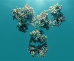 Systematic method for improving the stability of antibodies