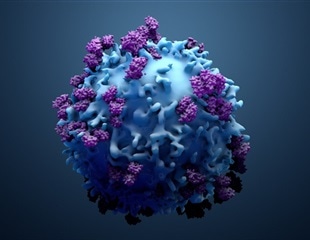 Researchers visualize antigen-bound T-cell receptor at atomic resolution