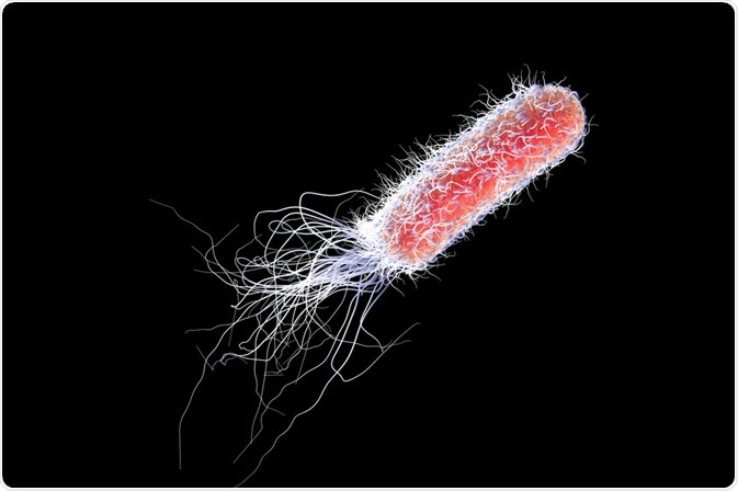 Many bacteria use flagella for locomotion.