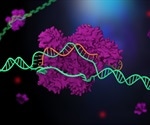 Newly discovered molecules safely halt the gene editing process