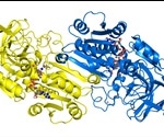 Protein Crystallography Common Problems, Tips, and Advice