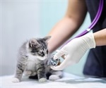 Unexpected link between the viruses that cause feline and human AIDS