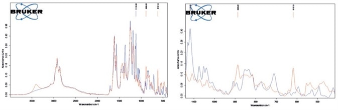 On the left, the spectra comparison of THCS (blue) and CBDS (red) is shown. On the right, the spectral differences are clearly visible from 400 to 1700 cm-1.