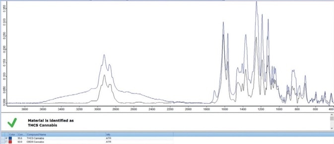 Analysis of a THCS-containing cannabis sample (black), THCS Reference spectrum (blue).