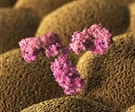 H5N1 influenza virus survivors' antibodies effective at neutralising H5N1 strain
