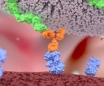 Manipulation of the body’s own natural killer cells to destroy cells containing the HIV virus
