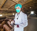 Swine flu preoccupies world health leaders