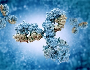 Antibodies can prevent surface proteins of bacteria from entering host cells