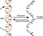 DNA Interactions with Proteins