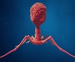 British teenager with life-threatening infection successfully treated with phage therapy
