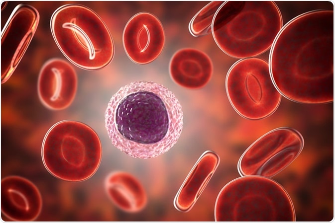 Lymphocyte surrounded by red blood cells, 3D illustration. Image Credit: Kateryna Kon / Shutterstock