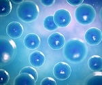 Harmful genetic mutations in healthy donors' stem cells may create problems in AML patients