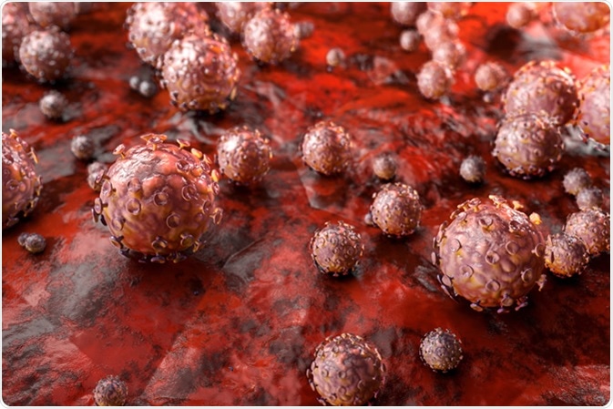 Human papillomavirus (HPV) is a DNA virus 3D illustration. Image Credit: Alexey Godzenko / Shutterstock