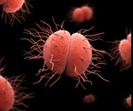 Gonorrhoea may be transmitted via kissing