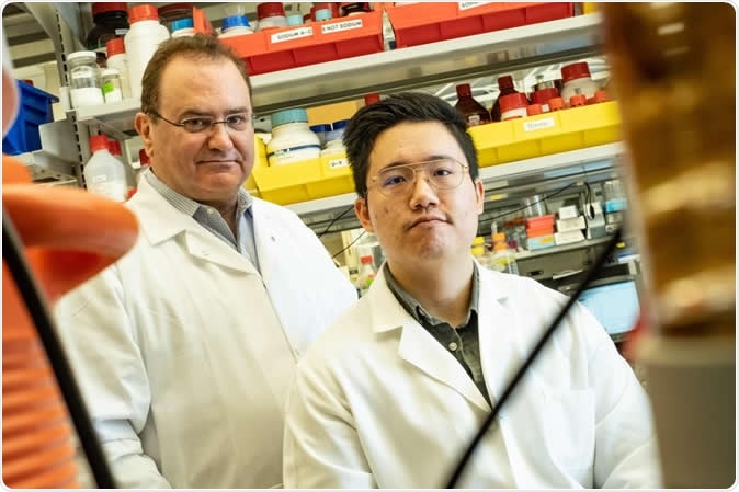 Rice University bioengineer Antonios Mikos, left, and graduate student Jason Guo led a team that developed modular, injectable hydrogels enhanced by bioactive molecules anchored in the chemical crosslinkers that give the gels structure. Image Credit: Jeff Fitlow / Rice University