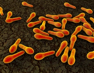Researchers develop mathematical model to prevent botulism