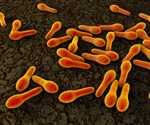 Clostridium difficile bacterium found on patients with no obvious signs or symptoms of disease