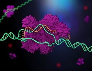 IRB scientists identify critical spots on the genome where gene editing could cause an unwanted response