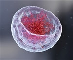 Study provides more insight into the initiation and progression of human cancers