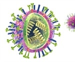 Scientists 'on the right track' toward universal flu vaccine