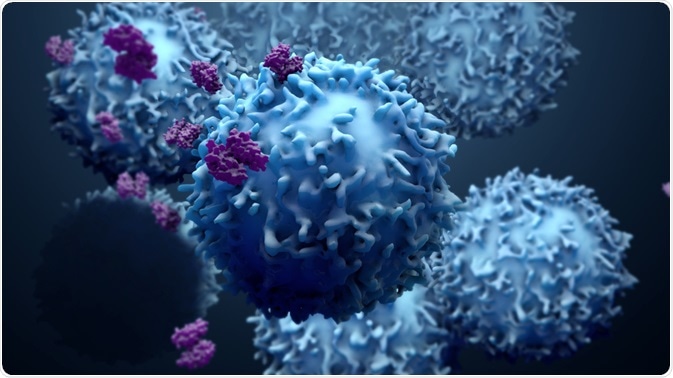 Immagine delle celle e degli anticorpi che potrebbero essere analizzati facendo uso di citometria a flusso.