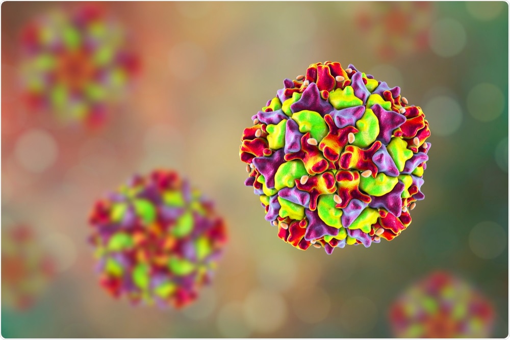 Scientists discover weakness in common cold virus