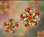 Scientists discover weakness in common cold virus