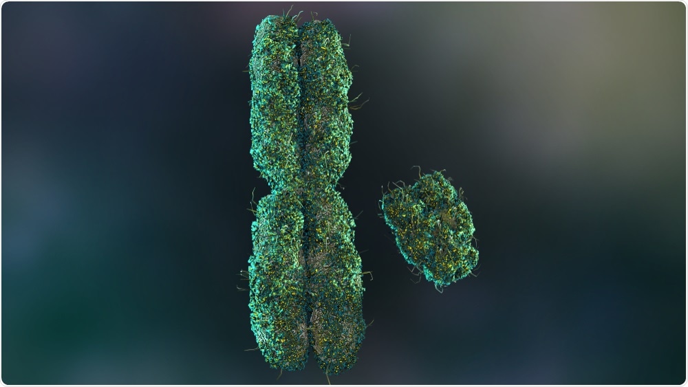 Telomeres are the nucleotide sequences found at the end of chromosomes that prevent chromosomes from deteriorating during DNA replication.