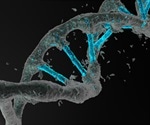 Gene Editing Techniques: ZFNs, TALENs or CRISPR?
