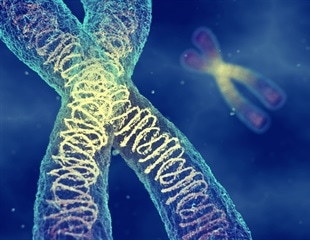 Research on the first-ever human pangenome reference helps better understand chromosome biology