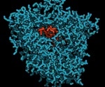 New research helps provide better understanding of megaviruses