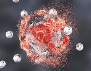 Researchers reveal an unrecognized pathway promoting long-term survival of T cells