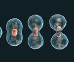 Abnormal cell division explained