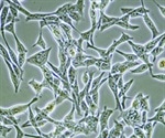 Mastering repeatability in cell culture with INTEGRA Biosciences’  WELLJET peristaltic pump dispenser