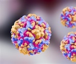 Scientists recreate rhinovirus infection in mice - hope of new asthma treatments