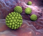 Study shows how rotavirus leads to severe gastrointestinal disease