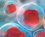 Why Should You Use Small Molecules in Stem Cell Research?