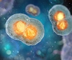 8.5 million Euros to address a fundamental question on mitosis: How is cell division regulated?
