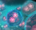 Research opens new possibilities for blocking runaway cell division in cancer