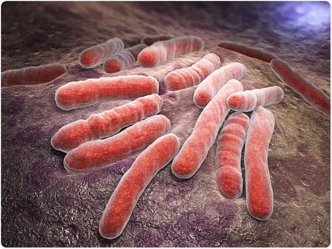 Mycobacterium tuberculosis is a pathogenic bacterial species in the family Mycobacteriaceae and the causative agent of most cases of tuberculosis - Illustration Credit: Tatiana Shepeleva / Shutterstock