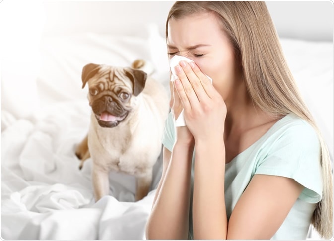 Allergic To Dogs: Symptoms, Causes And Diagnosis