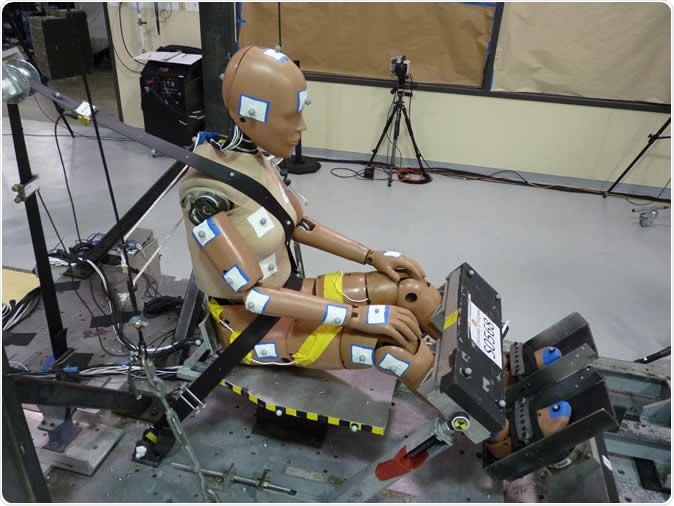 The Center for Applied Biomechanics is crash-testing an industry-standard dummy that is designed to represent a 5th percentile female (5 feet tall, weighing 110 pounds). These tests will help evaluate how realistic the dummy is in representing a real female automobile occupant. Image Credit: UVA Center for Applied Biomechanics